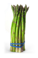 asparagus adscendens